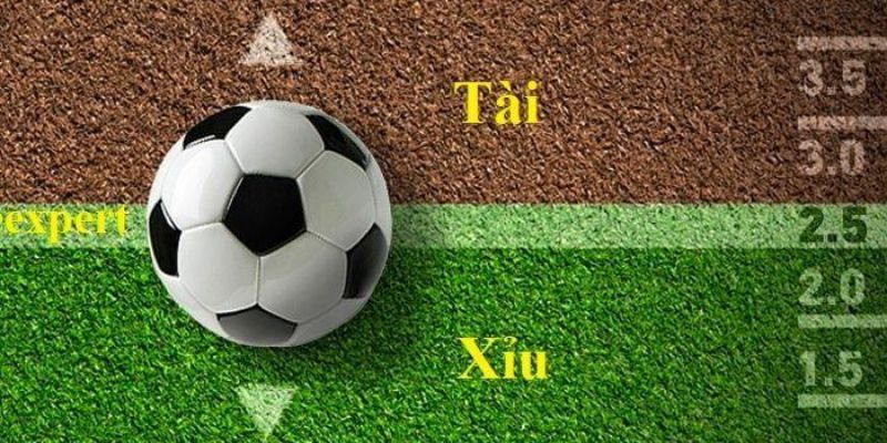 Kèo Tài Xỉu 1.5 2 Là Gì? Cách Bắt Kèo 1.75 Bất Bại Tại J88 - BIVEGU.NEWS