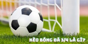 Thể Thao J88 - Sân chơi cá cược thể thao uy tín nhất 2026 - BIVEGU.NEWS