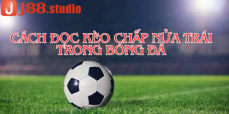 Kèo Chấp Nữa Trái Trong Bóng Đá Là Gì? Cách Bắt Kèo Hiệu Quả - BIVEGU.NEWS