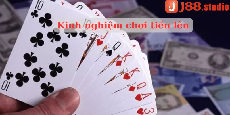 5 Đôi Thông Chặt Được Gì? 5 đôi thông tới trắng không? - BIVEGU.NEWS