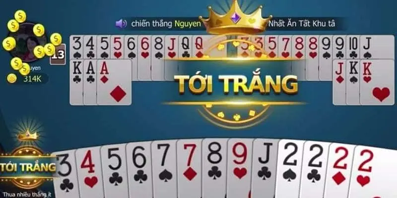 Tìm Hiểu Về Tứ Quý Heo Trong Game Bài Tiến Lên Miền Nam - BIVEGU.NEWS