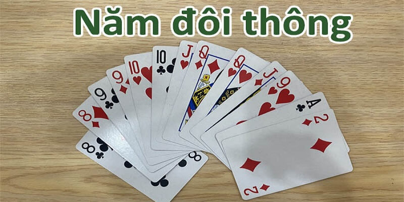5 Đôi Thông Chặt Được Gì? 5 đôi thông tới trắng không? - BIVEGU.NEWS