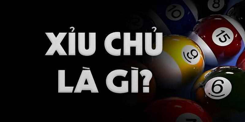 Xỉu Chủ Là Gì? Cách Đánh Xỉu Chủ Hiệu Quả Cho Newbie - BIVEGU.NEWS