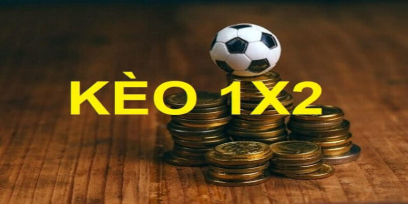 Kèo Châu Âu Là Gì? Cách Đọc & Bắt Kèo Hiệu Quả Nhất 2026 - BIVEGU.NEWS