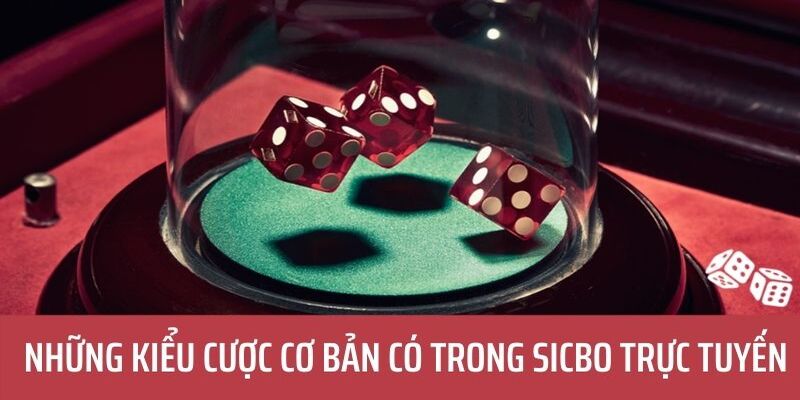 Tìm Hiểu Cách Chơi Sicbo - J88 Bật Mí Kinh Nghiệm Từ Cao Thủ - BIVEGU.NEWS