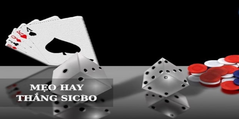 Tìm Hiểu Cách Chơi Sicbo - J88 Bật Mí Kinh Nghiệm Từ Cao Thủ - BIVEGU.NEWS