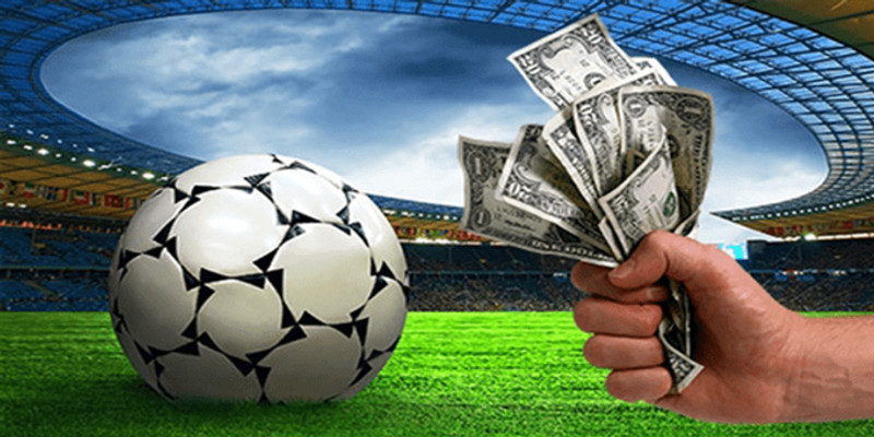Kèo Châu Âu Là Gì? Cách Đọc & Bắt Kèo Hiệu Quả Nhất 2026 - BIVEGU.NEWS