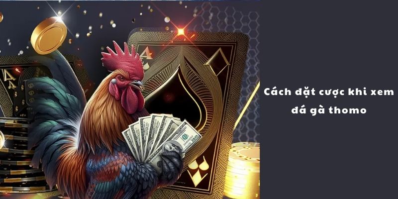 Đá Gà Thomo Online - Sản Phẩm Giải Trí Số 1 Dành Cho Kê Thủ - BIVEGU.NEWS