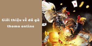 Đá Gà J88 - Thiên đường đá gà trực tuyến hấp dẫn nhất 2026 - BIVEGU.NEWS