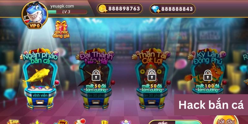 Hack Bắn Cá Đổi Thưởng - Tổng Hợp Các Bí Thuật Từ A-Z - BIVEGU.NEWS