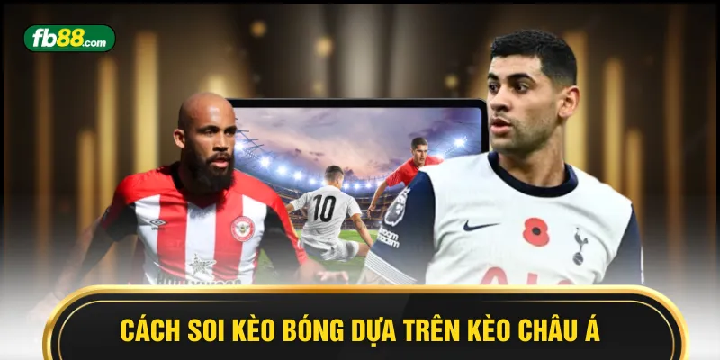 Cách Soi Kèo Bóng - Dễ Dàng Cho Người Mới Trong 2026 - BIVEGU.NEWS