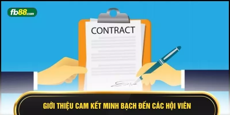 Cam Kết Minh Bạch Tại FB88 - Hệ Thống Kiểm Soát Rõ Ràng - BIVEGU.NEWS
