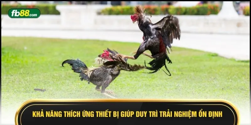 Sảnh Gà Digtain - 9 Phút Theo Dõi Kịch Tính Đến Nghẹt Thở - BIVEGU.NEWS