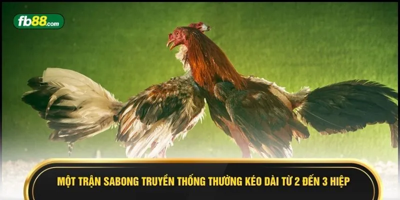 Kèo Gà Sabong - 5 Điểm Sáng Chuẩn Cược Thủ Không Thể Bỏ Lỡ - BIVEGU.NEWS