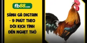 Đá Gà FB88 2026 - 5 Bí Quyết Gia Tăng Phần Thắng Lớn  - BIVEGU.NEWS