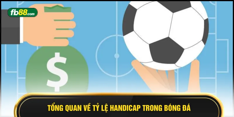 Kèo Chấp Bóng Đá Là Gì? Cách Đọc Kèo Hiệu Quả Nhất - BIVEGU.NEWS