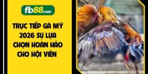 Đá Gà FB88 2026 - 5 Bí Quyết Gia Tăng Phần Thắng Lớn  - BIVEGU.NEWS