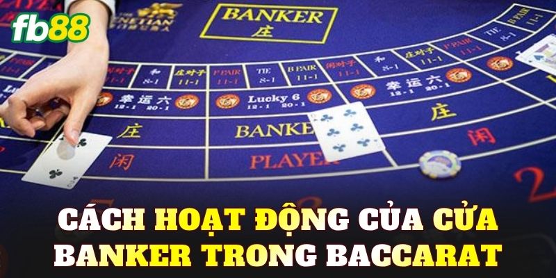 Cửa Banker Là Gì? Giải Mã Cửa Nhà Cái Baccarat - BIVEGU.NEWS