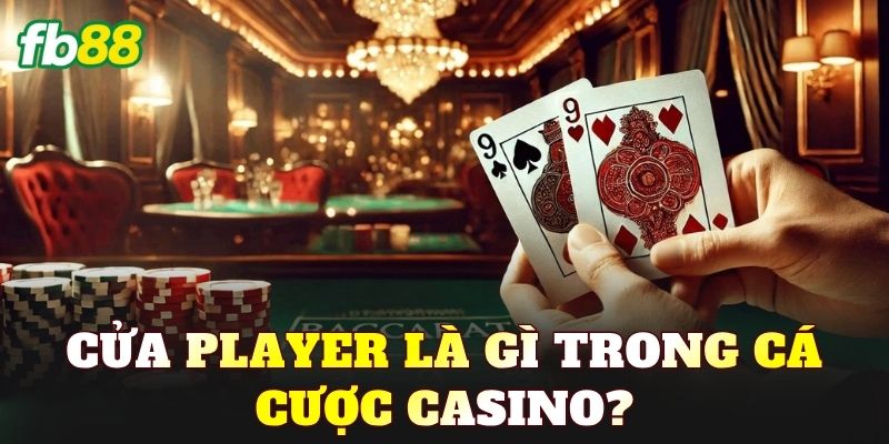 Cửa Player Là Gì? Giải Thích Chi Tiết Cho Người Chơi - BIVEGU.NEWS