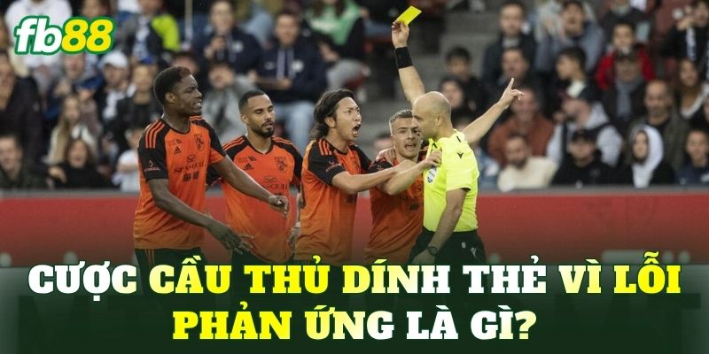 Bí Kíp Cược Cầu Thủ Dính Thẻ Vì Lỗi Phản Ứng Nóng Hiệu Quả - BIVEGU.NEWS