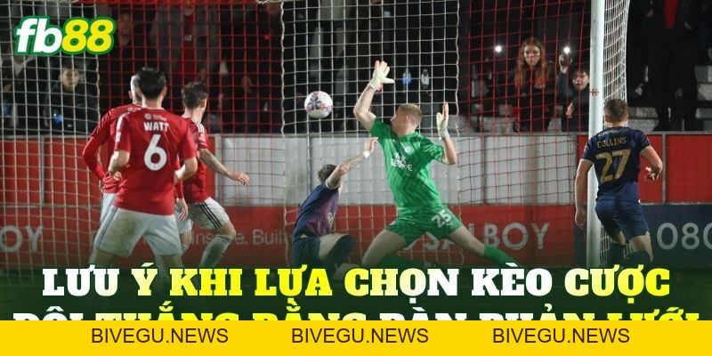 Cược Đội Thắng Bằng Bàn Phản Lưới Là Gì? Cách Chơi Chuẩn - BIVEGU.NEWS
