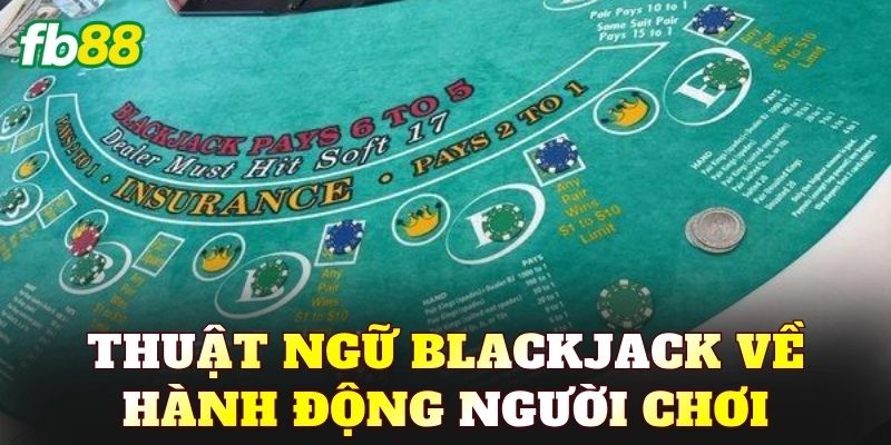 Top 10 Thuật Ngữ Blackjack Cơ Bản Người Chơi Cần Biết - BIVEGU.NEWS