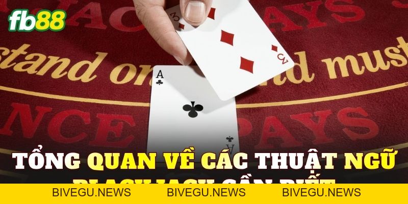 Top 10 Thuật Ngữ Blackjack Cơ Bản Người Chơi Cần Biết - BIVEGU.NEWS