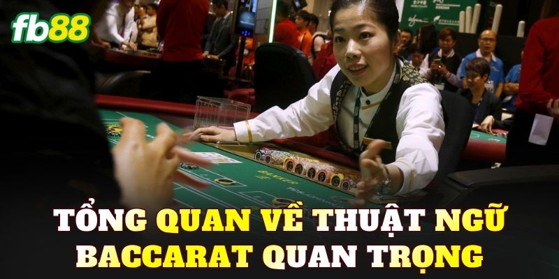 Thuật Ngữ Baccarat Cơ Bản Người Chơi Cần Biết - BIVEGU.NEWS