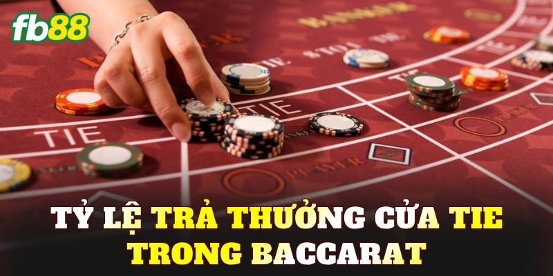 Cửa Tie Trong Baccarat: Luật Chơi Và Cách Đặt Cược - BIVEGU.NEWS