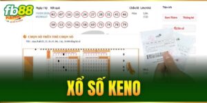 Tin Tức - FB88 nhà cái - BIVEGU.NEWS
