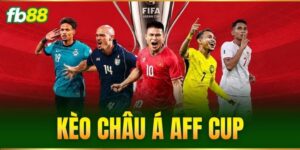Tin Tức - FB88 nhà cái - BIVEGU.NEWS