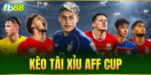 Tin Tức - FB88 nhà cái - BIVEGU.NEWS