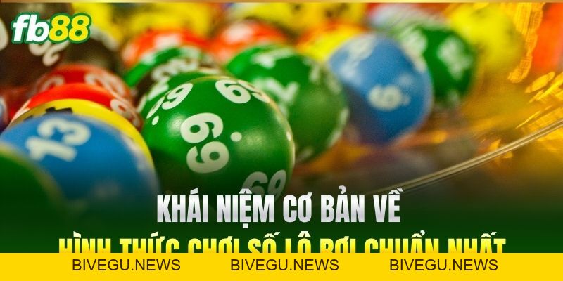 Lô Rơi - Hướng Dẫn Bắt Cầu Chi Tiết Cho Người Chơi Tại FB88 - BIVEGU.NEWS