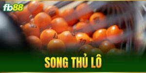 Tin Tức - FB88 nhà cái - BIVEGU.NEWS