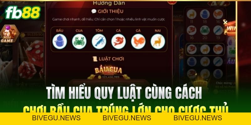 Cách Chơi Bầu Cua Giúp Bạn Trở Thành Cao Thủ Đặt Cược FB88 - BIVEGU.NEWS